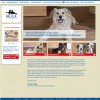 Ratgeber zur Agila Hundeversicherung
