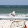 Ratgeber zur Strandkorb-Schutzhülle