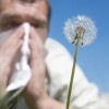 Ratgeber zu den Symptomen einer Pollenallergie
