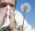 Ratgeber zu den Symptomen einer Pollenallergie